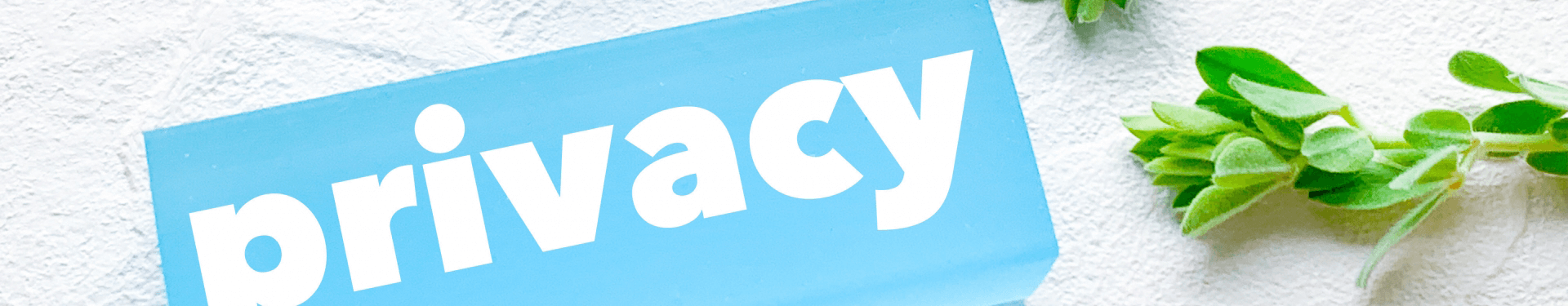 サブビジュアル